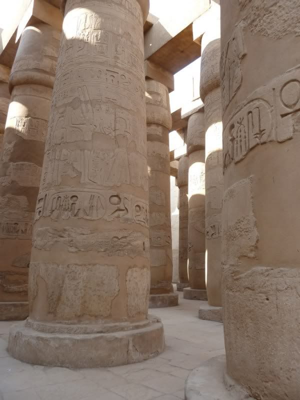 P1030215-Copy-Copy.jpg