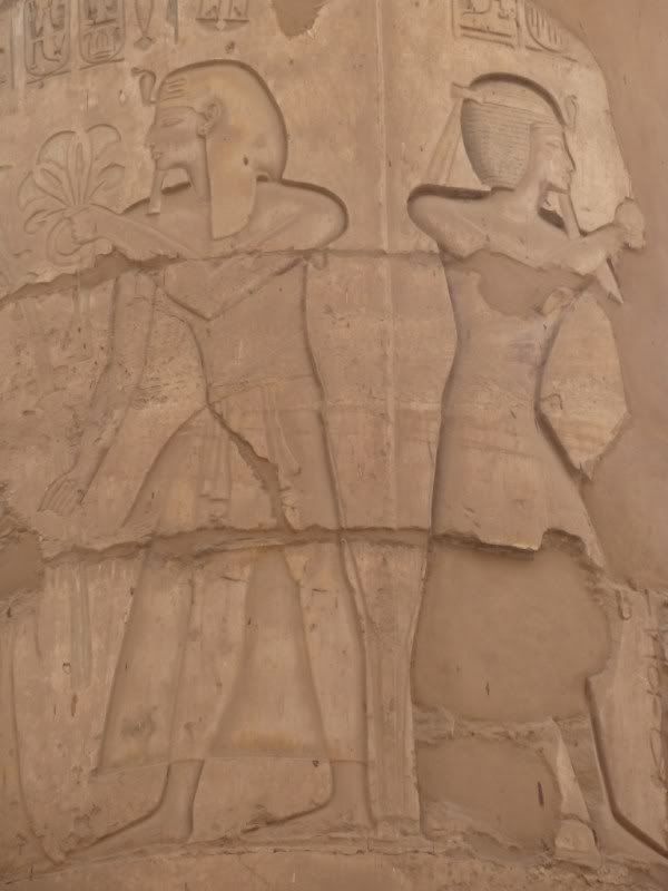 P1030221-Copy-Copy.jpg