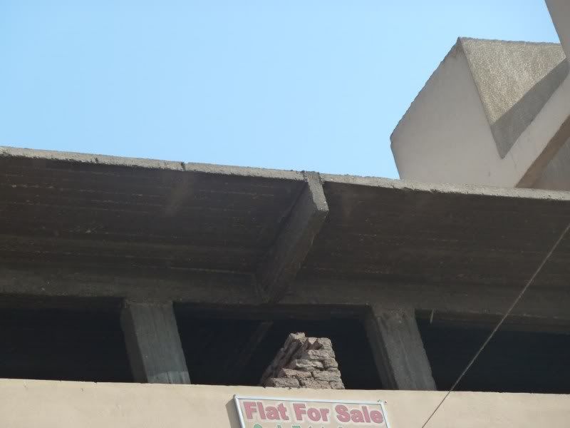 P1030264-Copy-Copy.jpg