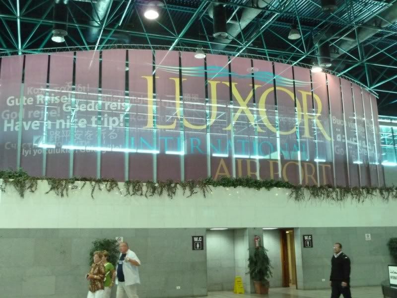 P1030267-Copy-Copy.jpg