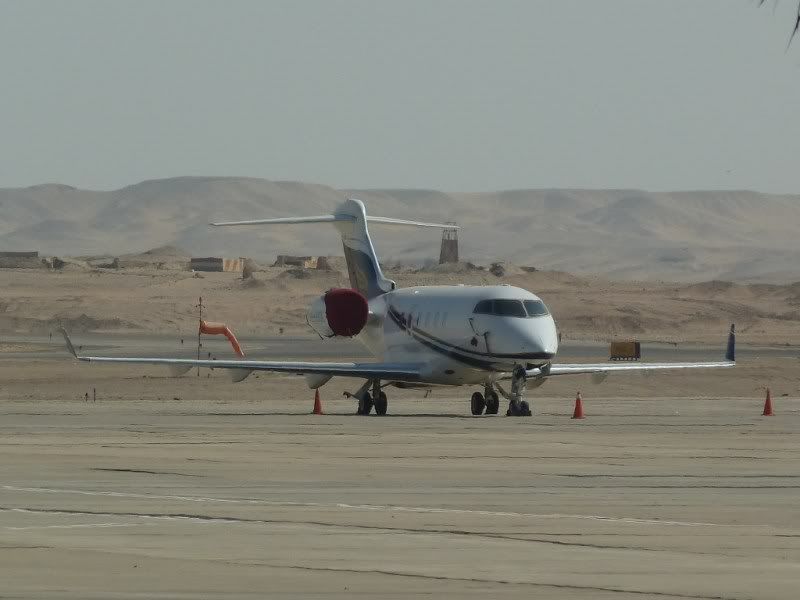 P1030269-Copy.jpg