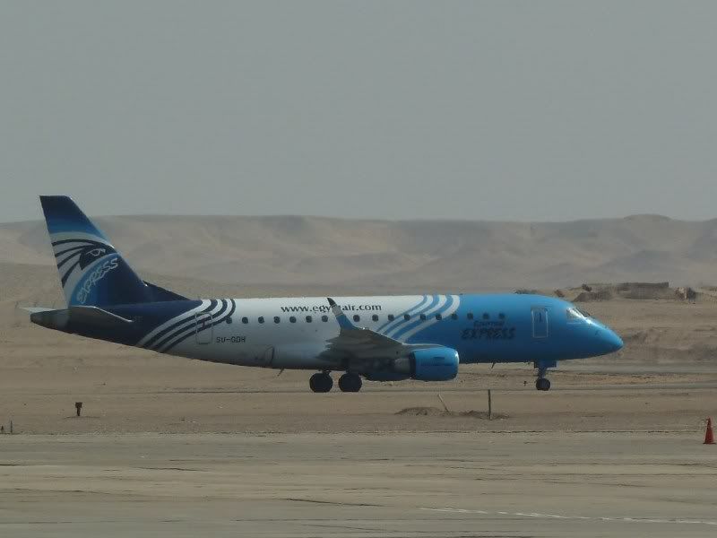 P1030274-Copy-Copy.jpg