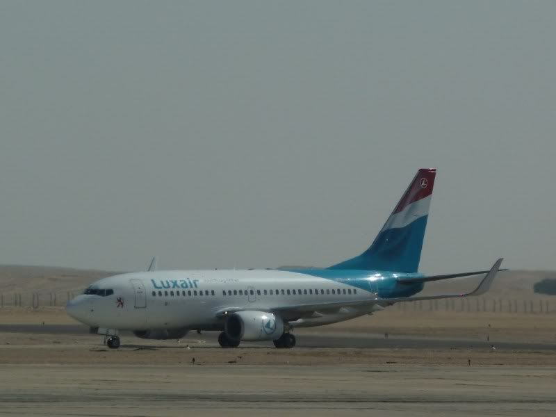 P1030277.jpg