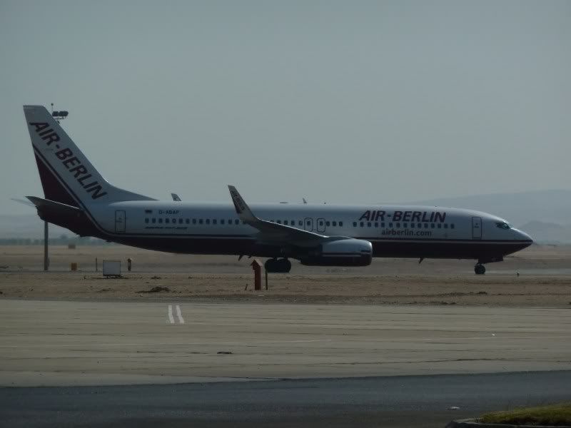 P1030278-Copy-Copy.jpg