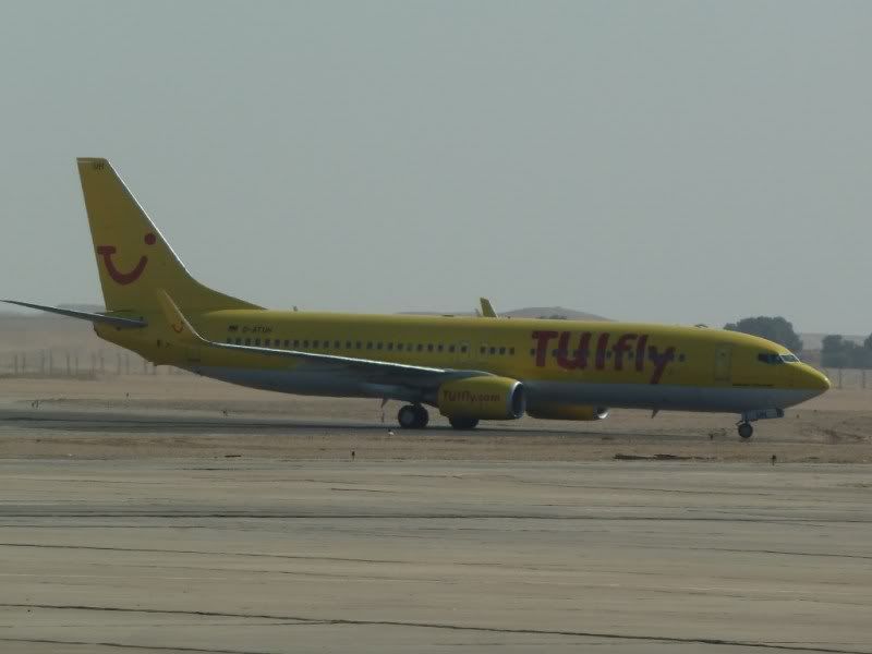 P1030280-Copy-Copy.jpg