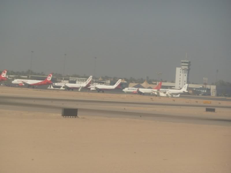 P1030289-Copy.jpg