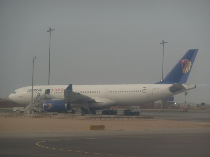 P1030315.jpg
