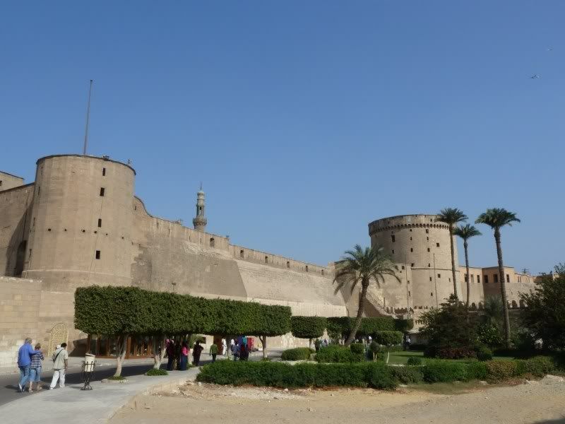 P1030344.jpg