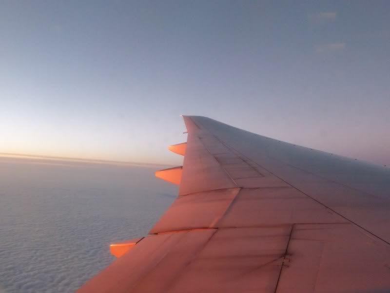 P1030360.jpg