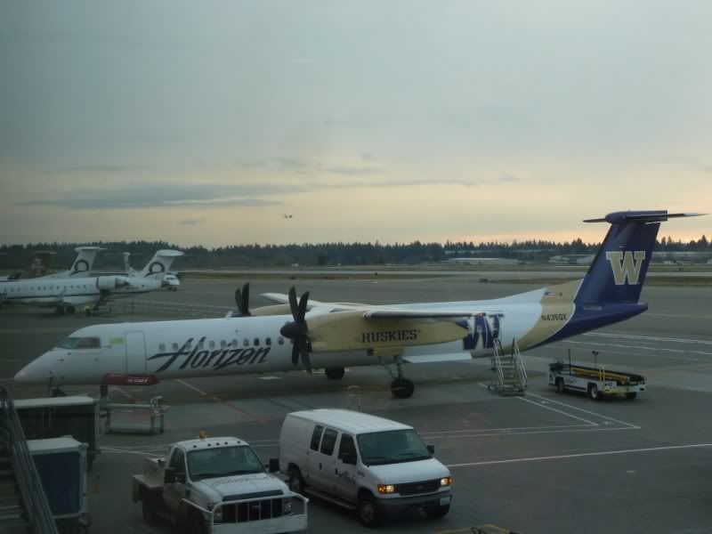 P1030375.jpg