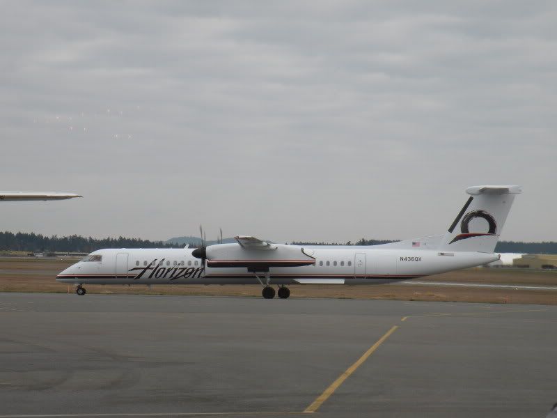 varie169.jpg