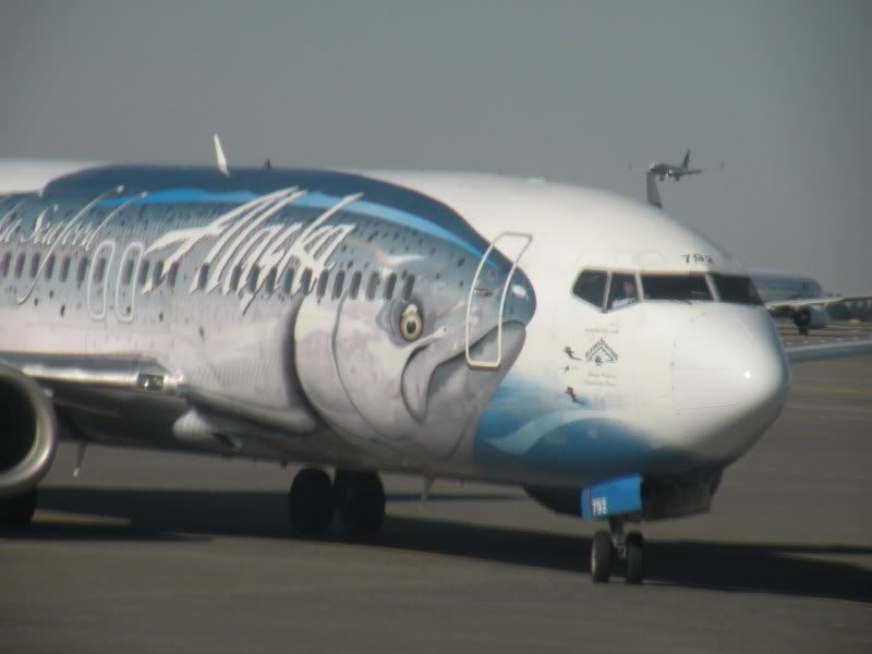 varie204.jpg