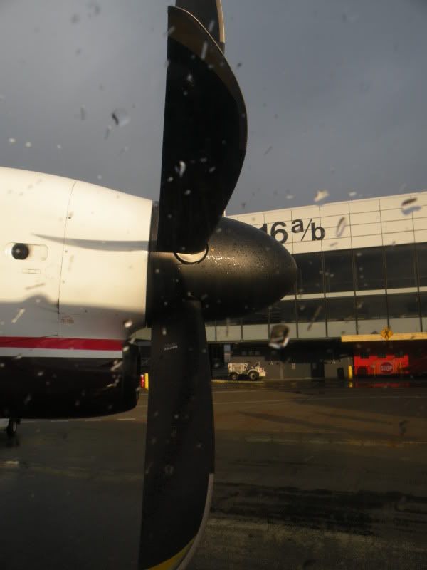 varie301.jpg