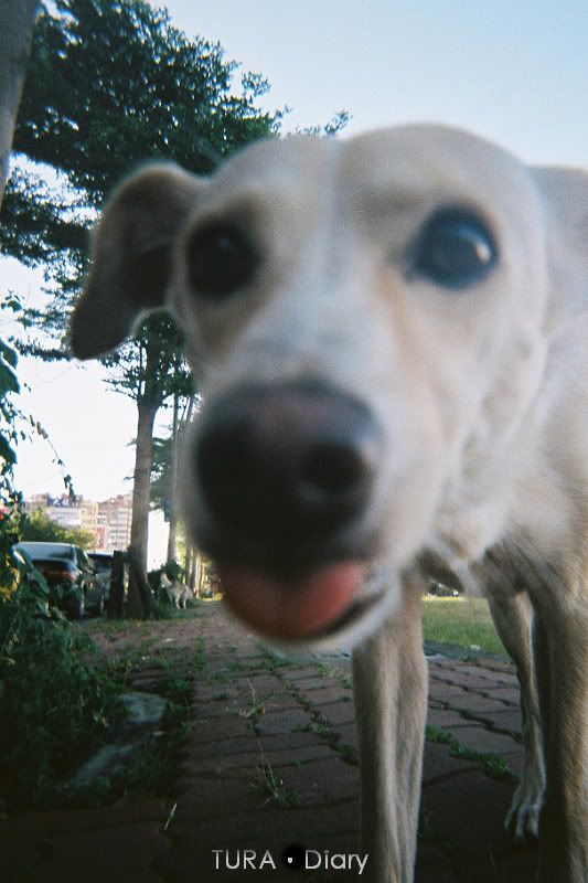 Photobucket - Video and Image Hosting