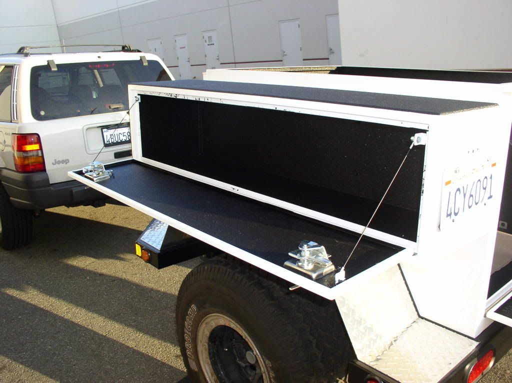 linex1.jpg