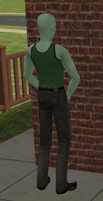 Sims 3 Cheats Place Objects Anywhere
