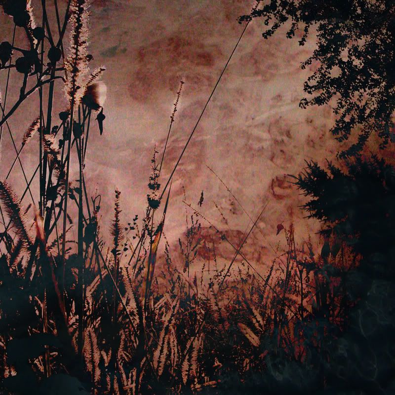 MySpace/Hi5 Thanks FreeGlitter Graphics/Friendster/hi5 glitter/comment hi5 MySpace/Hi5 Thanks Glitter Graphics/Friendster/hi5 glitter/comment hi5