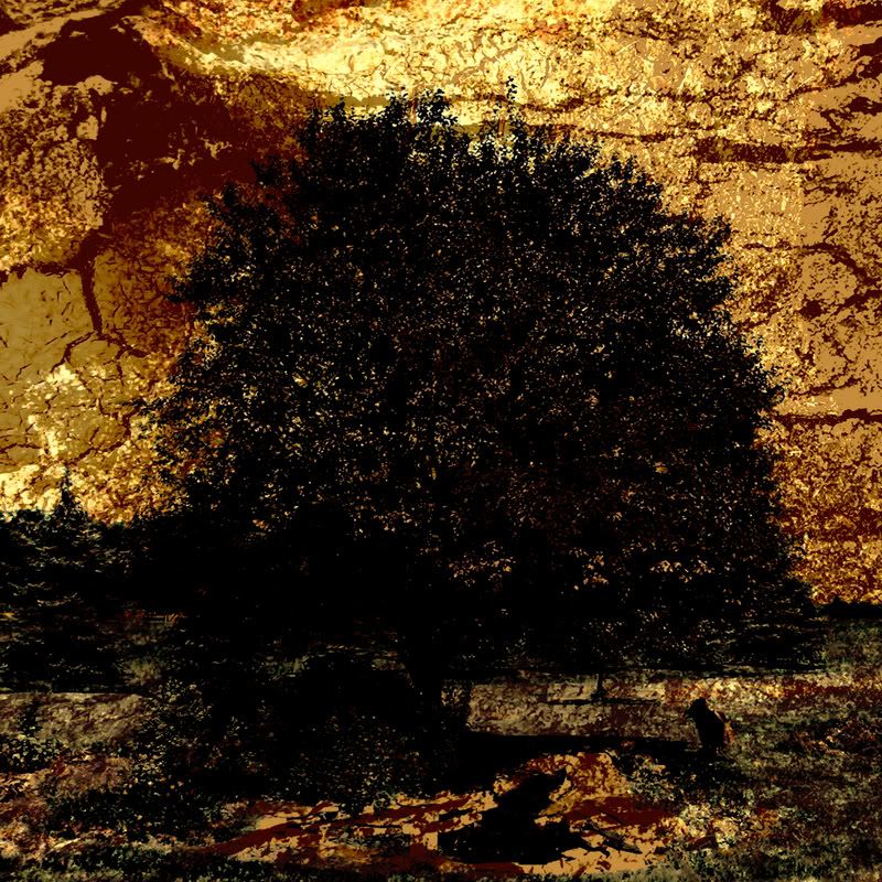 MySpace/Hi5 Thanks FreeGlitter Graphics/Friendster/hi5 glitter/comment hi5 MySpace/Hi5 Thanks Glitter Graphics/Friendster/hi5 glitter/comment hi5