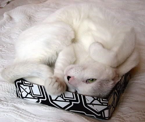 MySpace/Hi5 Thanks Glitter Graphics/Friendster/hi5 glitter/comment hi5 MySpace/Hi5 Thanks Glitter Graphics/Friendster/hi5 glitter/comment hi5