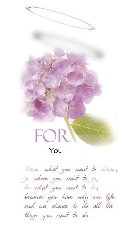 MySpace/Hi5 Thanks Glitter Graphics/Friendster/hi5 glitter/comment hi5 MySpace/Hi5 Thanks Glitter Graphics/Friendster/hi5 glitter/comment hi5