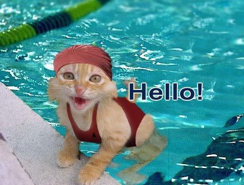 MySpace/Hi5 Thanks Glitter Graphics/Friendster/hi5 glitter/comment hi5 MySpace/Hi5 Thanks Glitter Graphics/Friendster/hi5 glitter/comment hi5