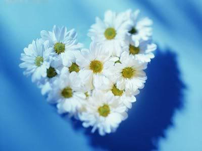 MySpace/Hi5 Thanks Glitter Graphics/Friendster/hi5 glitter/comment hi5 MySpace/Hi5 Thanks Glitter Graphics/Friendster/hi5 glitter/comment hi5