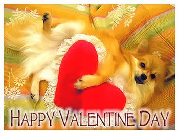 MySpace/Hi5 Thanks FreeGlitter Graphics/Friendster/hi5 glitter/comment hi5 MySpace/Hi5 Thanks Glitter Graphics/Friendster/hi5 glitter/comment hi5