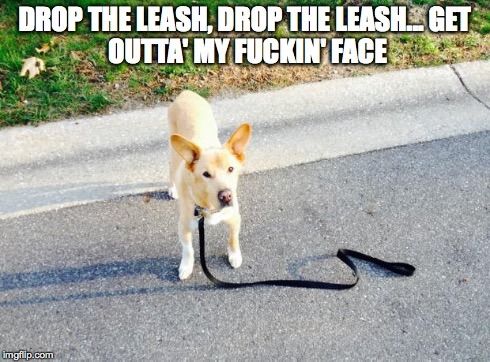 Image result for pearl jam drop the leash gif