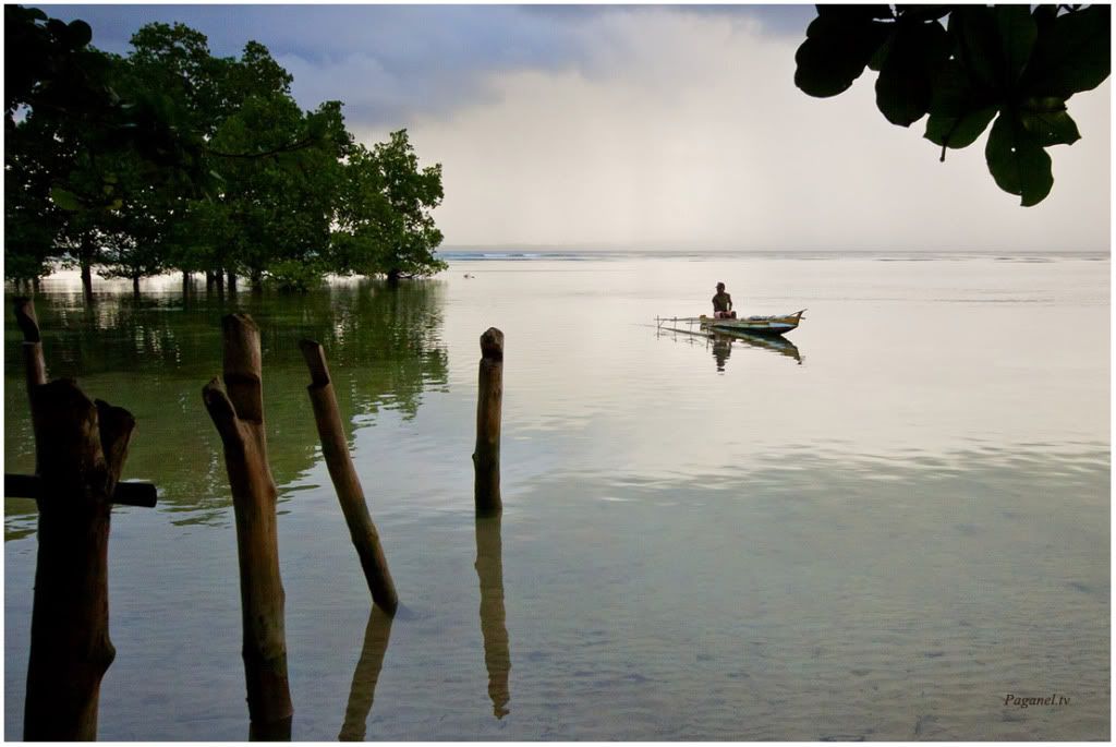 Indonesia + Папуасия. Снова. 2012