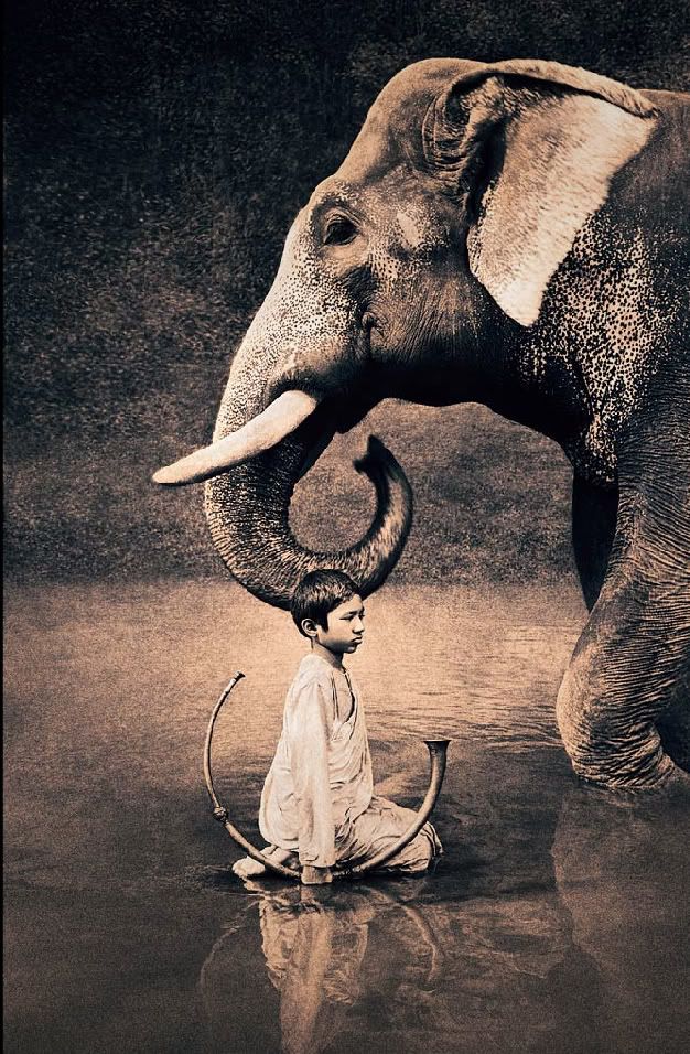 Фильм Пепел и Снег - "Ashes and snow"