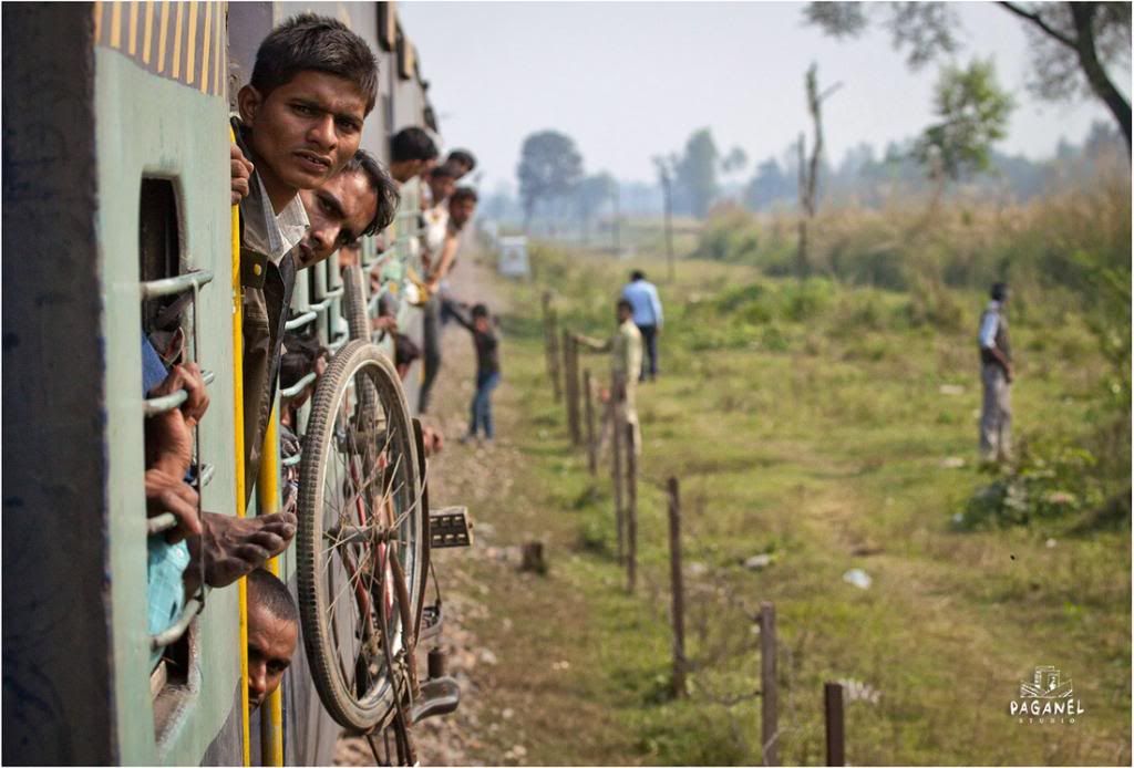 Паганели в Индии (ноябрь-декабрь 2012) фото+видео