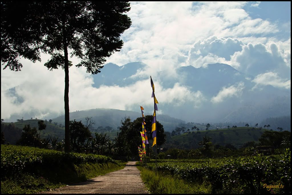 Indonesia + Папуасия. Снова. 2012