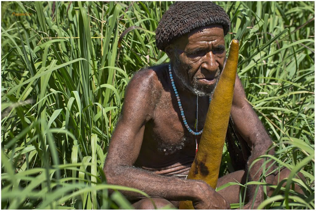 Indonesia + Папуасия. Снова. 2012