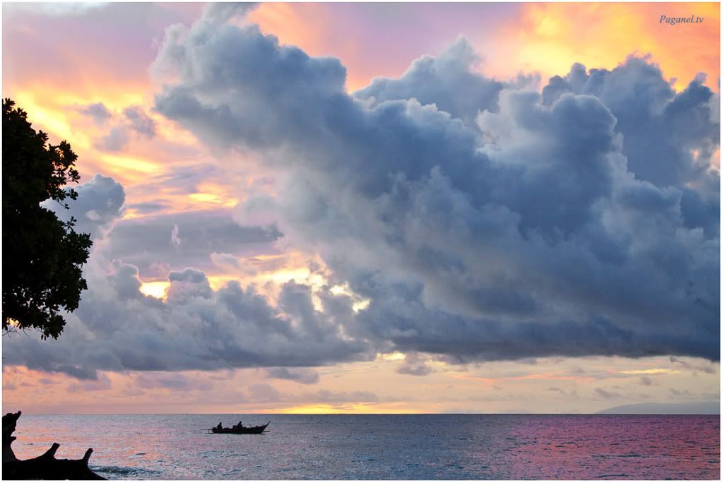 Indonesia + Папуасия. Снова. 2012