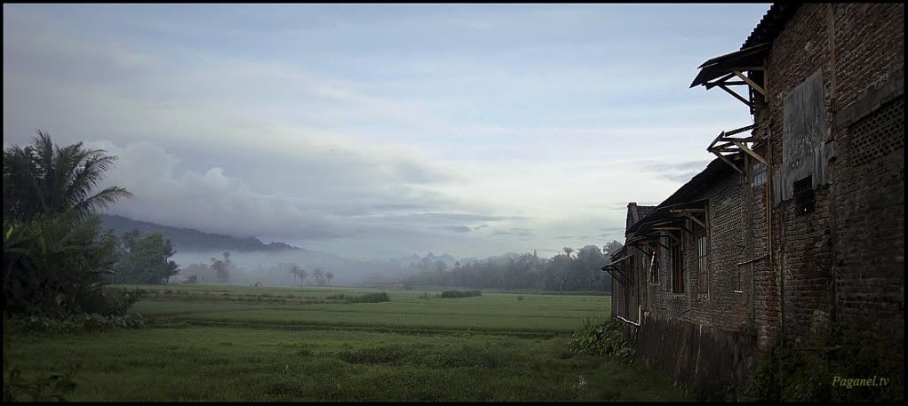 Indonesia + Папуасия. Снова. 2012