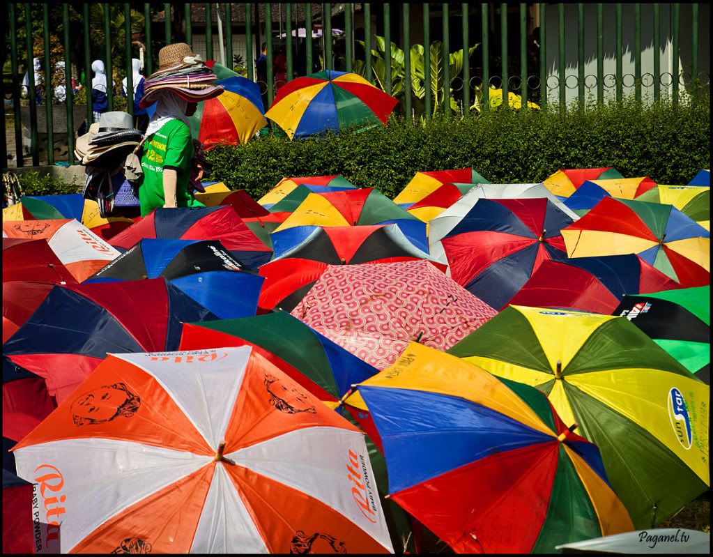 Indonesia + Папуасия. Снова. 2012