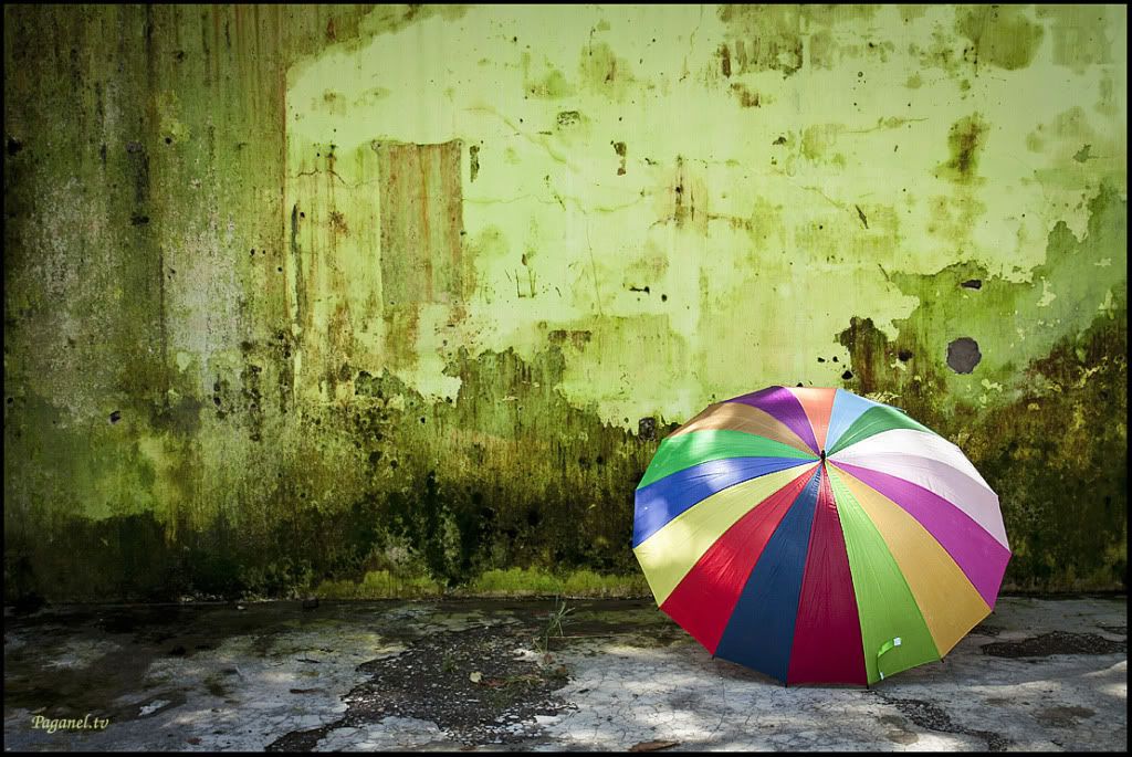 Indonesia + Папуасия. Снова. 2012