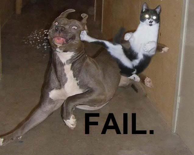 fail-6.jpg