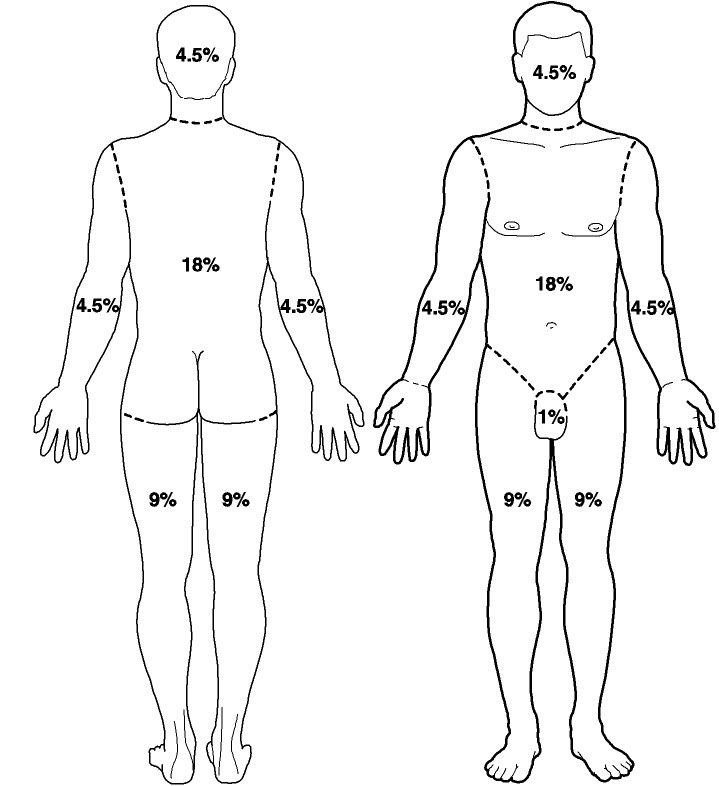 Child Body Diagram