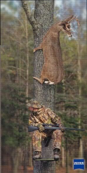 deer_in_a_tree.jpg