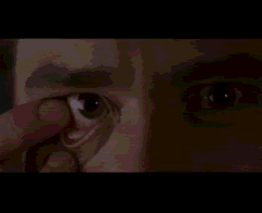 Wilsonsauge.gif