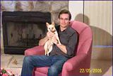 th_rslhunde-1.jpg