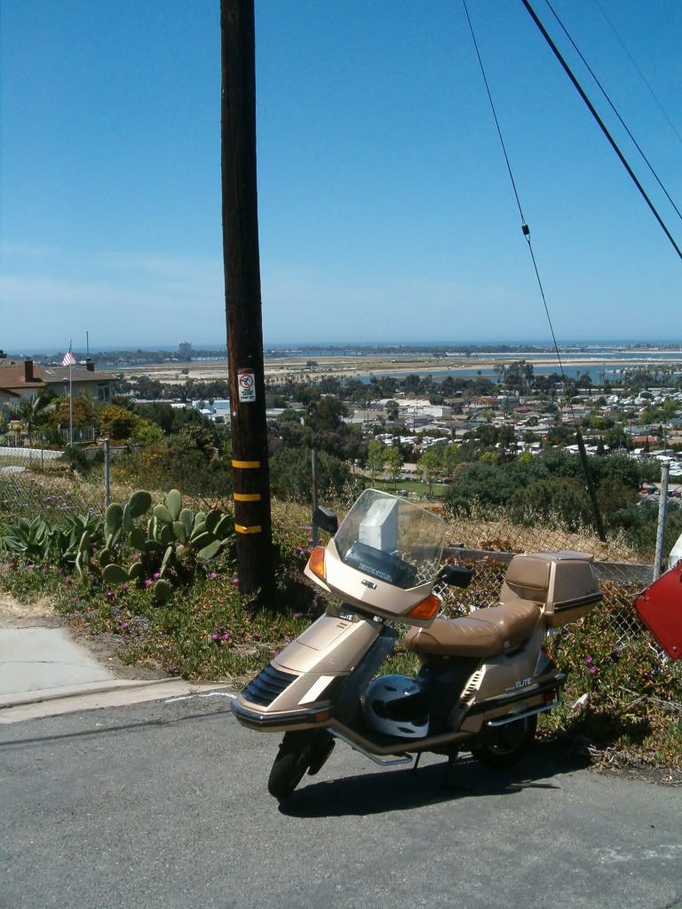 External inline image provided by member with no explanatory text