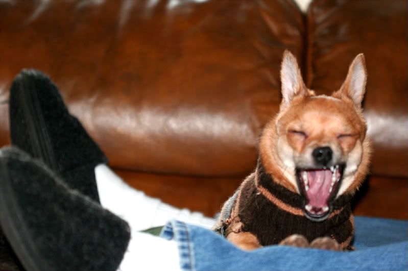 Julyyawn-1.jpg