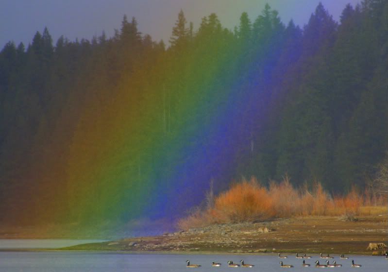 rainbow-1.jpg