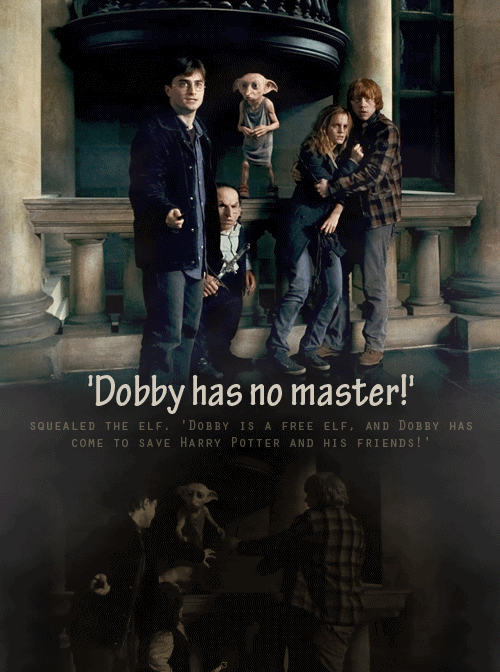 Poor Dobby x Pictures, Images and Photos