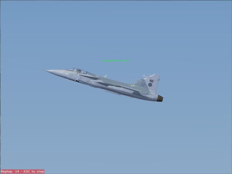 Alpha_Sim_SAAF_SAAB_JAS-39C_Grip-6.jpg