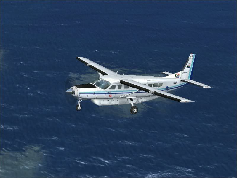 SAAF_Cessna_208_Caravan_3007_SWC2010_SCreenshot_2.jpg