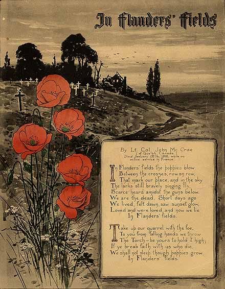 FLANDERS FIELD Pictures, Images and Photos