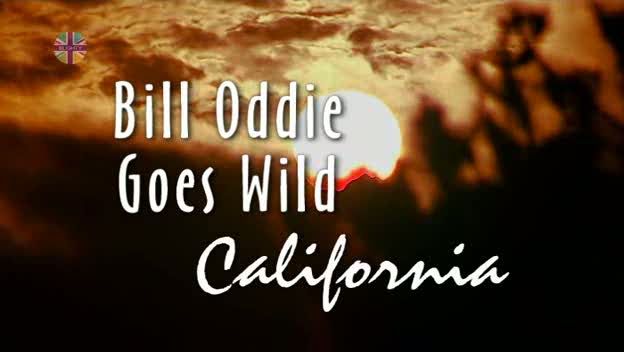 Bill Oddie Goes Wild   S03E10   California (21st Dec 2003) [PDTV (Xvid)] Subs preview 0